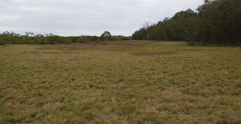 Great spaces, the ground looks soft enough for the Bulli to sleep on!