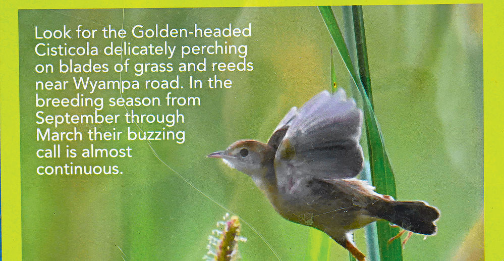 Info on not only the wild life, but when you are likely to see it during the year.