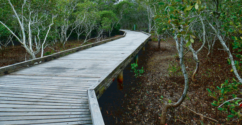 more raised platforms, throughout the location.