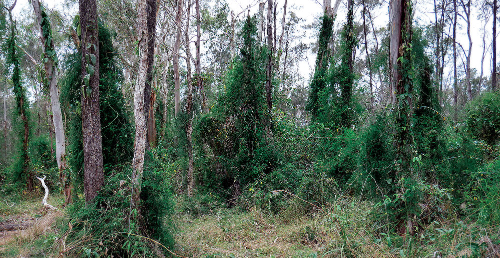 I am just waiting to see a croxrocÂ® crew member pop out!