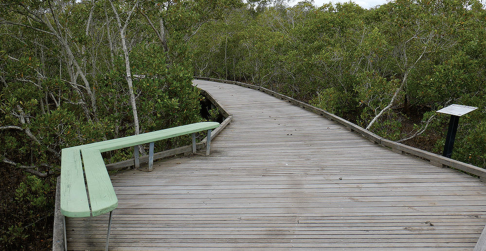 One of many raised platforms created to allow visitors access to otherwise inaccessable marsh.
